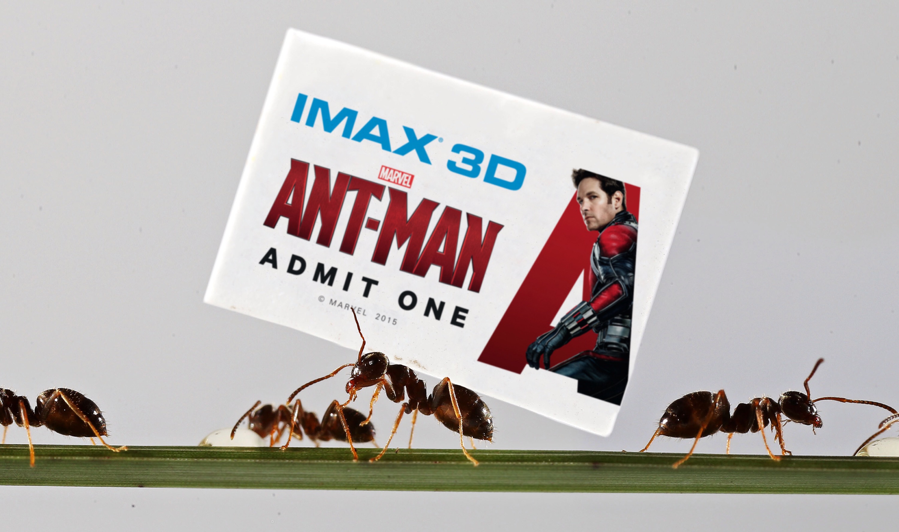 Tiny Ant-Man tickets hidden around the UK.