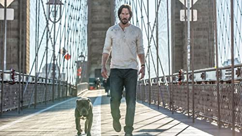 Film Review-John Wick:Chapter Two